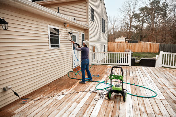 Best Affordable Pressure Washing  in Avon, MN